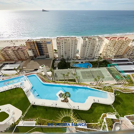 Sunset Cliffs Palms *